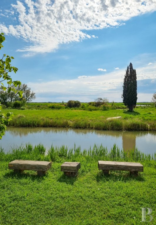 A farmhouse set amidst the marshes north of Saintes-Maries-de-la-Mer, in the Camargue - photo  n°4